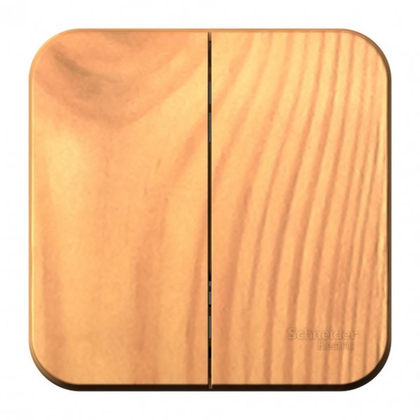 Фото Выключатель 2-клавишный se blanca наруж ясень 10а, 250b, изолир пластина (арт. se blnva105015)