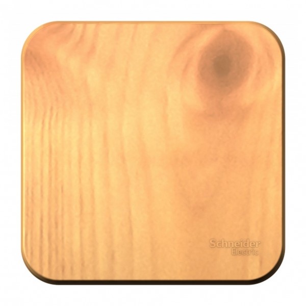 Фото Выключатель 1-клавишный se blanca наруж ясень 10а, 250b, изолир пластина (арт. se blnva101015)