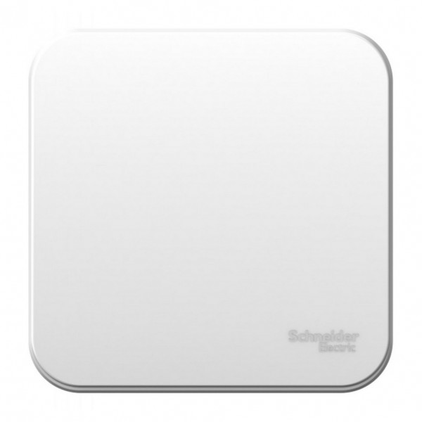 Фото Переключатель 1-клавишный se blanca наруж белый 10а, 250b, изолир пластина (арт. se blnva106011)