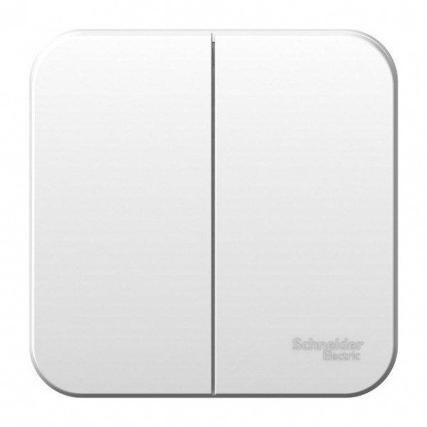 Фото Выключатель 2-клавишный se blanca наруж белый 10а, 250b, изолир пластина (арт. se blnva105011)