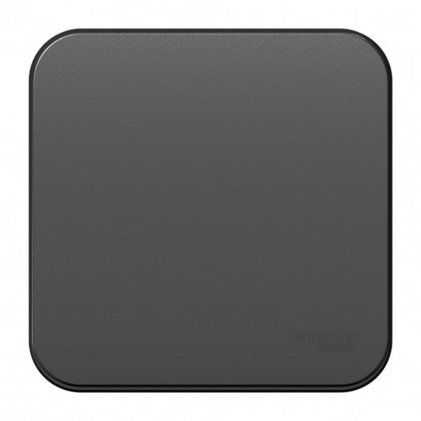 Фото Выключатель 1-клавишный se blanca наруж антрацит 10а, 250b, изолир пластина (арт. se blnva101016)