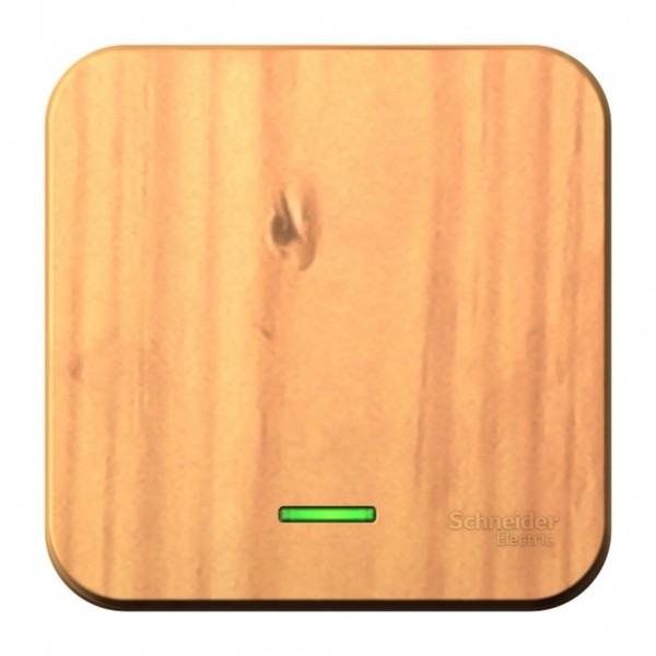 Фото Выключатель 1-клавишный se blanca наруж ясень с подсветкой 10а, 250b, изолир пластина (арт. se blnva