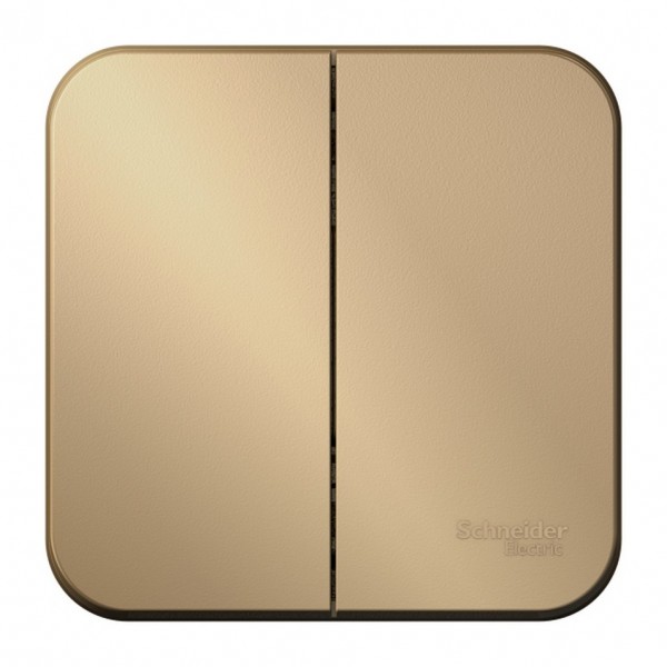 Фото Выключатель 2-клавишный se blanca наруж титан 10а, 250b, изолир пластина (арт. se blnva105014)