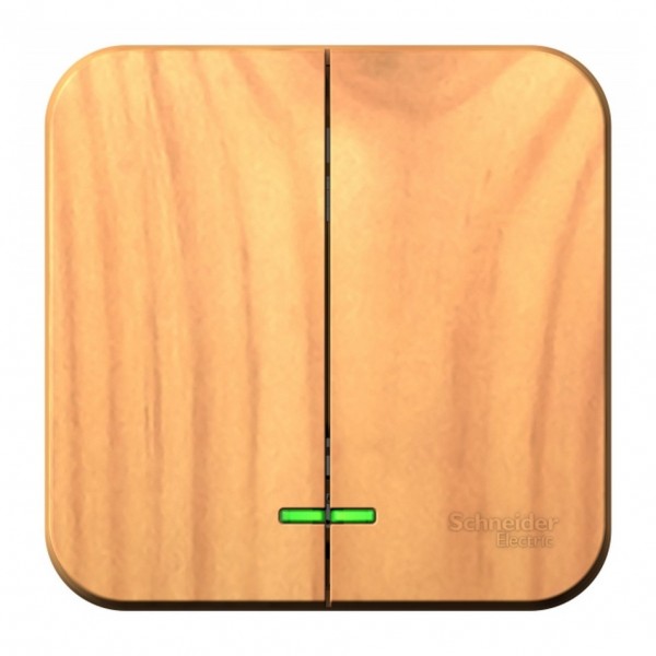 Фото Выключатель 2-клавишный se blanca наруж ясень с подсветкой 10а, 250b, изолир пластина (арт. se blnva