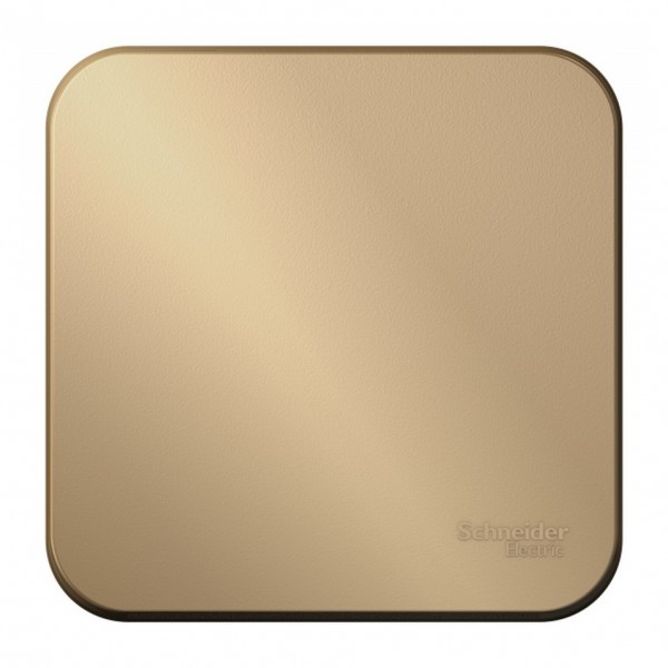 Фото Переключатель 1-клавишный se blanca наруж титан 10а, 250в, изолир пластина (арт. se blnva106014)