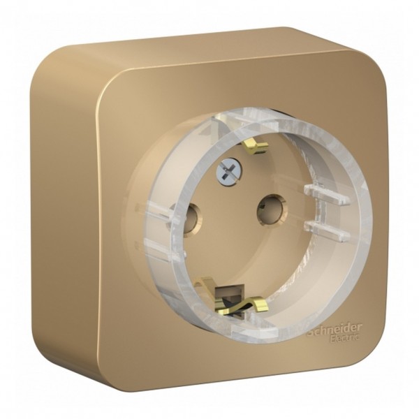 Фото Розетка с/з se blanca наруж титан без шторок, (компакт) 16а, 250в изолир пластина (арт. se blnra1101