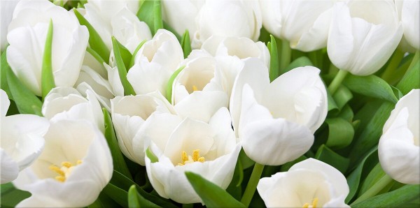 Фото Декор азори элара верде 40,5x20,1