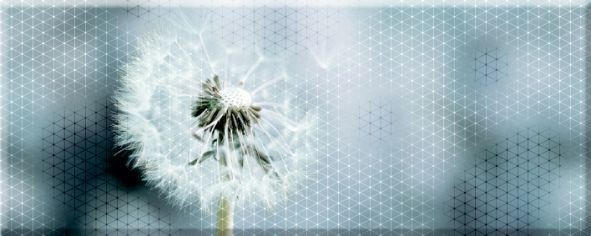 Фото Панно концепт 7о тип 1 одуван 20х50 (13шт)