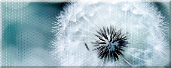 Фото Панно концепт 7о тип 2 одуван 20х50 (13шт)