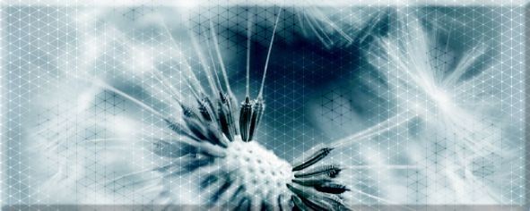 Фото Панно концепт 7о тип 3 одуван 20х50 (13шт)