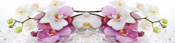 Фото Панель стеновая мдф 600х2440мм лиловая орхидея