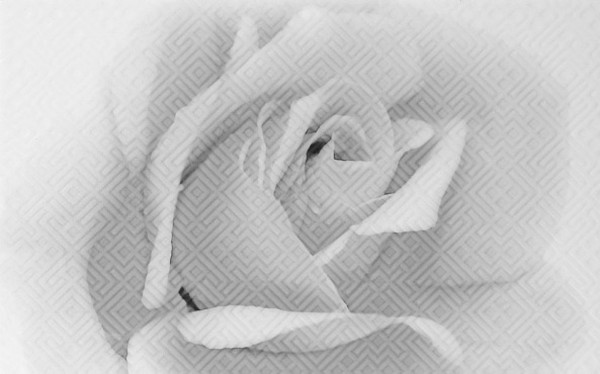 Фото Декор камелия чёрно-белый 02 25х40 (13шт) декор