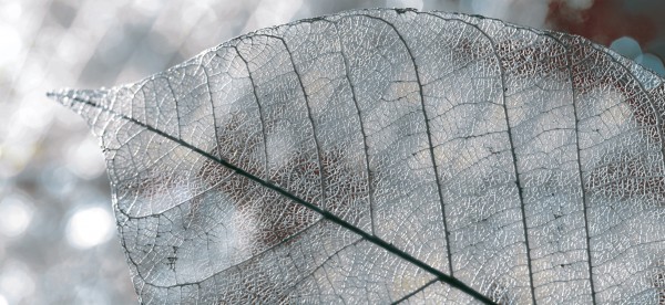 Фото Декор magia 50*23см серая  д61071