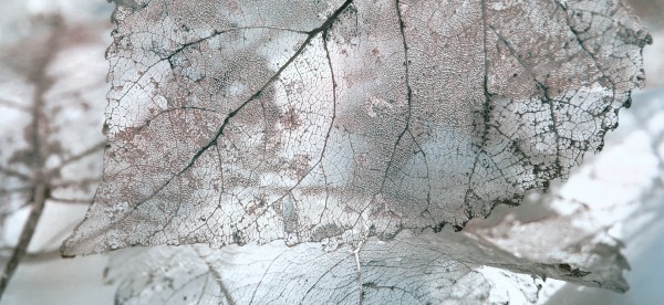 Фото Декор magia 50*23см серая д61071-1