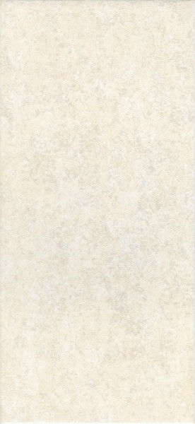 Фото Плитка настенная nobilis светлый бежевый фон 500*230 235068021