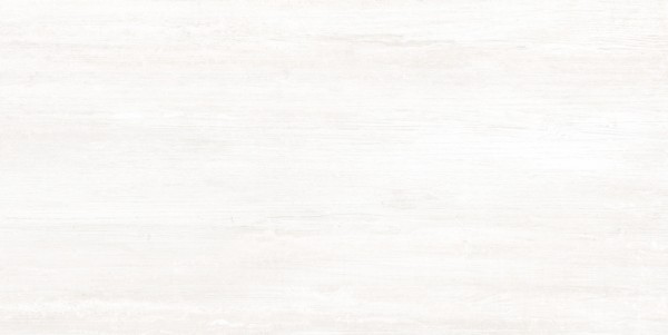 Фото Плитка настенная silvia светло-серый 50*25 gt42vg