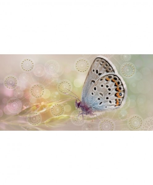 Фото Декор 20*40 мечта бабочка