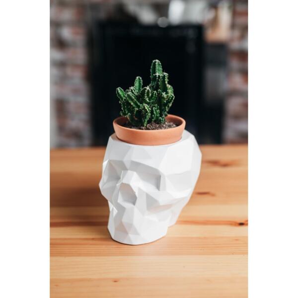 Фото Декоративное кашпо череп