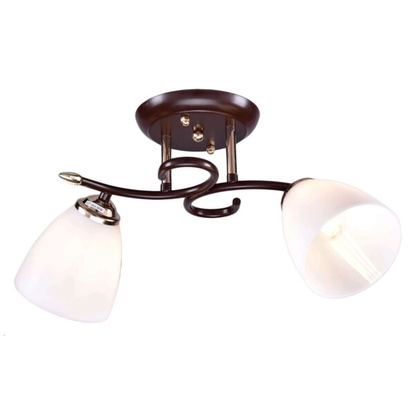 Фото Люстра потолочная россвет рс22655/2 е27 2x60вт ip20