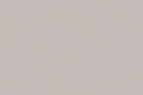 Фото Обои белвинил 10-1005-21 бонжур 21 флизелин 1,06*10,05м однотонный серый