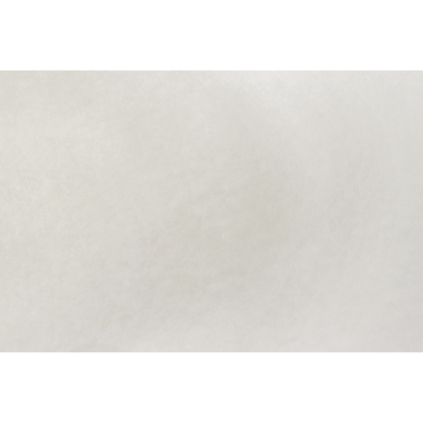 Фото Обои elysium е59085 холст флизелиновый 1,06х25м белый