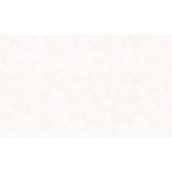 Фото Обои декор г.т. арт.10595-01 freedom сет 20 бернадета-уни 10м*1,06м