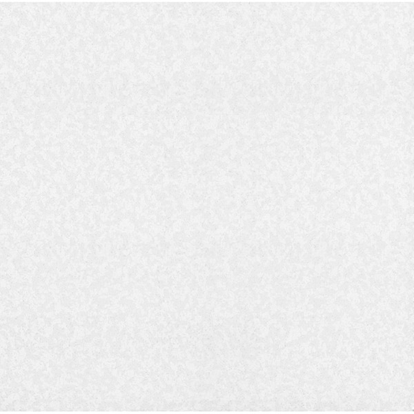 Фото Обои 1425-11 vilia империал флизелин 1.06x10,05м однотонный серый