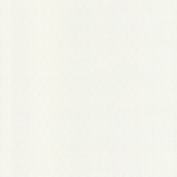 Фото Обои 90113-11 vog collection виктория флизелин 1.06x10м однотонный белый