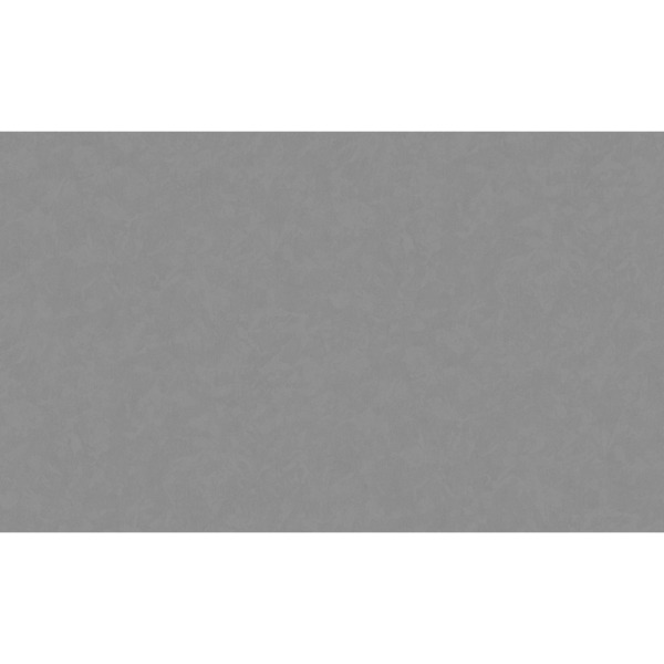 Фото Обои 168555-16 industry omega флизелин 1.06x10,05м однотонный серый