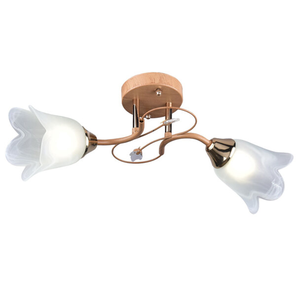 Фото Люстра потолочная россвет рс20184 wd+fg/2c е27 2x60вт ip20