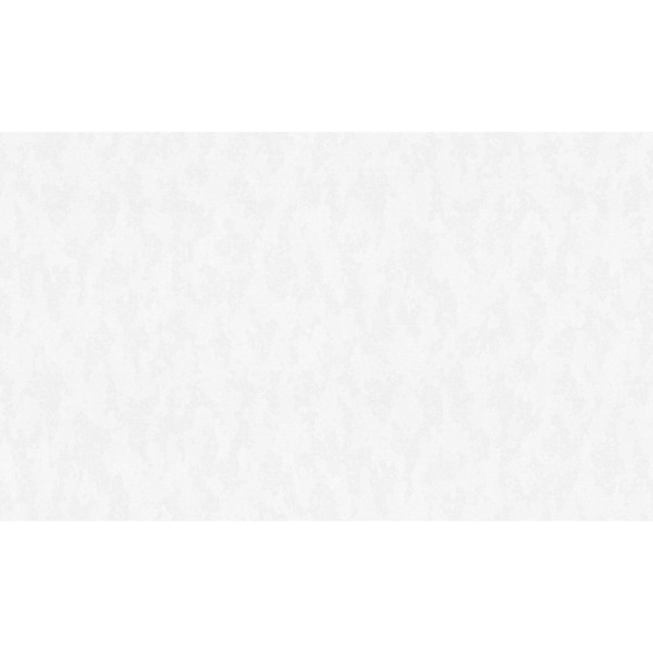 Фото Обои 10613-01 артекс симона флизелин 1.06x10,05м однотонный белый