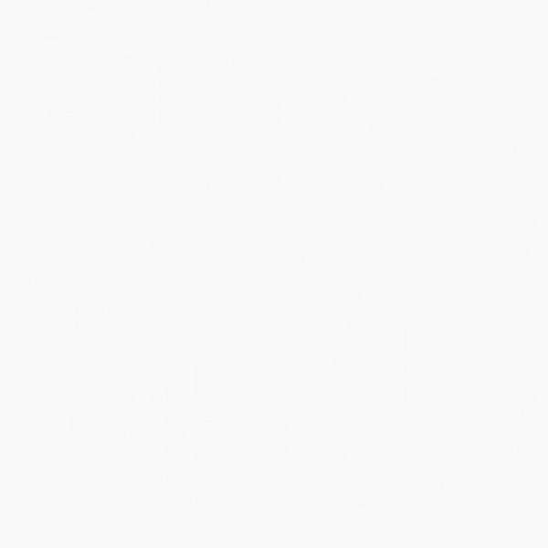 Фото Обои 60126-06 erismann felicita флизелин 1.06x10,05м однотонный белый